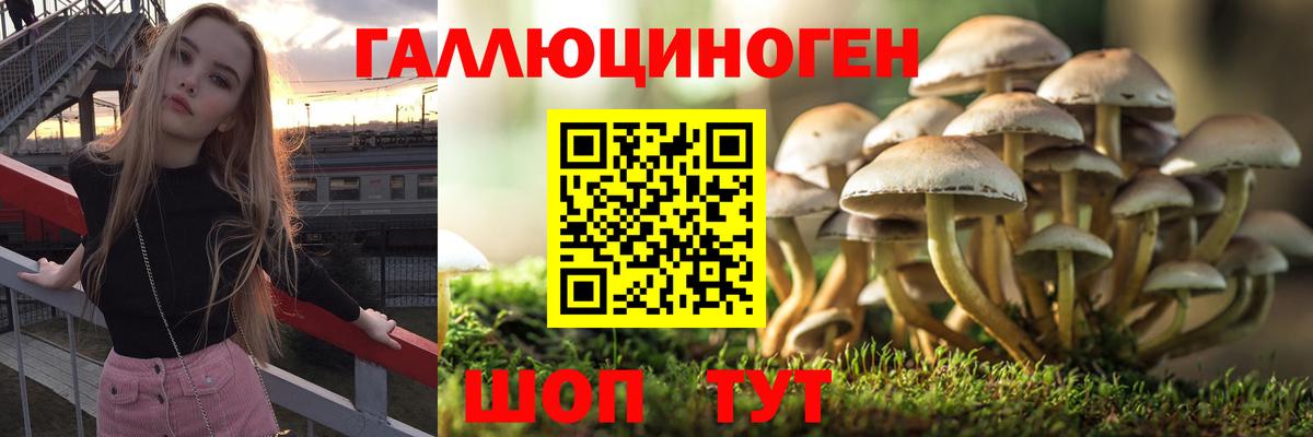 Псилоцибиновые грибы Cubensis  Вход с VPN  что такое   Галлюциногенные грибы Psilocybe  Нижнеудинск 