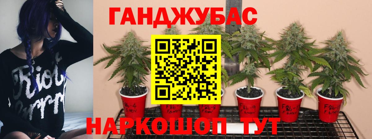 Шишки марихуана THC 21%  Каннабис тримм  Нижнеудинск  Шишки марихуана семена  Вход с VPN  Каннабис AK-47 